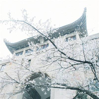 A股现金分红热潮涌动 百余家沪市公司拟派现超800亿元